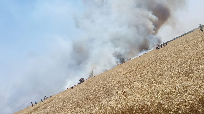 فرق الدفاع المدني تخمد حريقاً لحقول الحنطة بالنجف