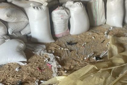 التجارة: الكشف عن عدة محاولات للتلاعب بتسويق الحنطة في الديوانية والنجف