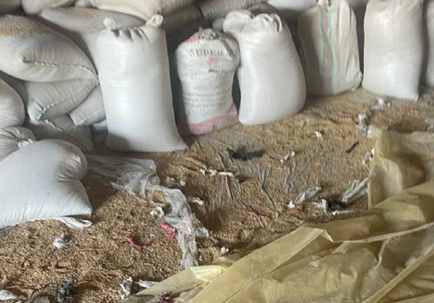 التجارة: الكشف عن عدة محاولات للتلاعب بتسويق الحنطة في الديوانية والنجف