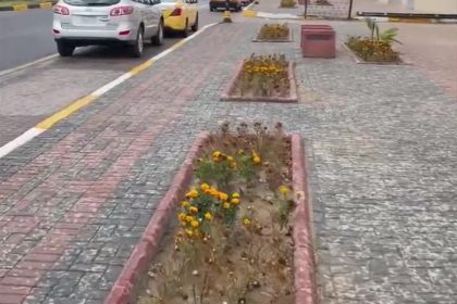 بالفيديو.. تساقط زخات مطر في العاصمة بغداد