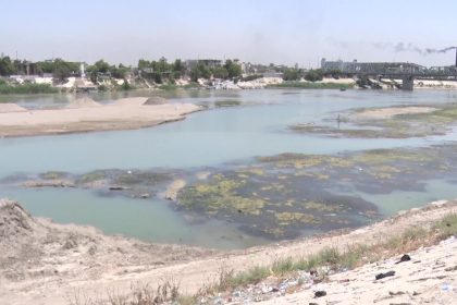 اراض زراعية واسعة خارج الخطة: محصول الرز العنبر مهدد