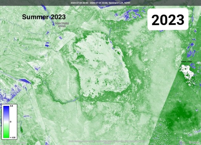 بالصور.. جفاف تام لهور الحويزة وشبه تام لأهوار الجبايش جنوبي العراق