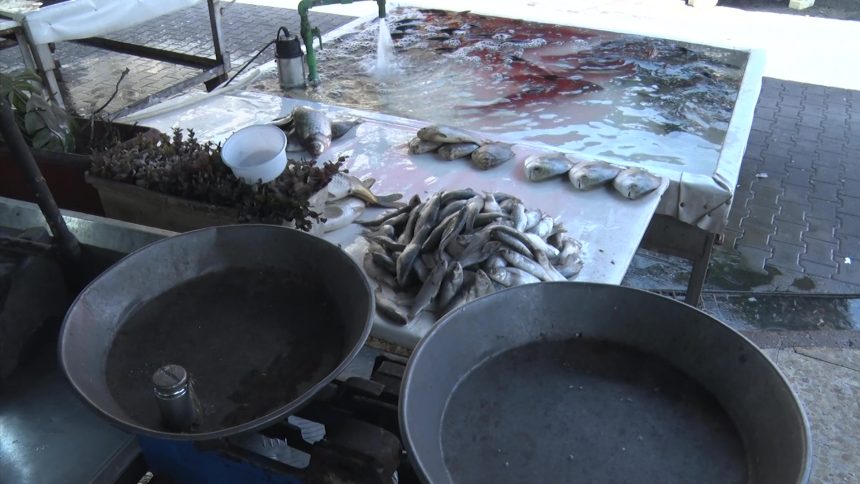 سوق السمك يشهد ارتفاعا ملحوظا في الاسعار ومربو الاسماك يشكون الجفاف وارتفاع اسعار الاعلاف