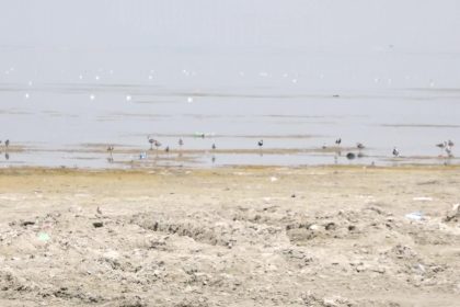 الجفاف يقسو على الحبانية: مياه ضحلة خالية من السواح