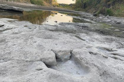 العثور على آثار أقدام ديناصورات تمتد إلى ما قبل 110 ملايين سنة