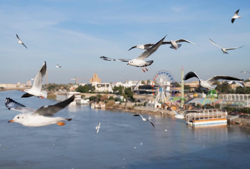 طقس العراق.. انخفاض بدرجات الحرارة خلال الايام المقبلة