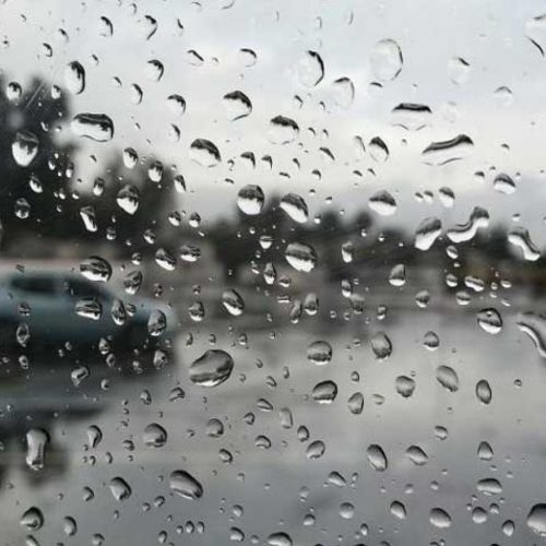 محافظة الديوانية تعطل دوام المدارس غداً الخميس