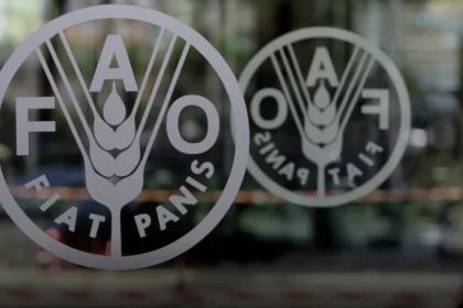 الفاو: انخفاض اسعار المواد الغذائية بنسبة 13.7 بالمئة في عام 2023