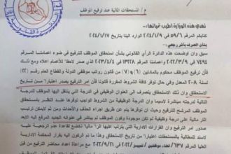 بالوثيقة….وزارة المالية توضح المستحقات المالية عند ترفيع الموظف