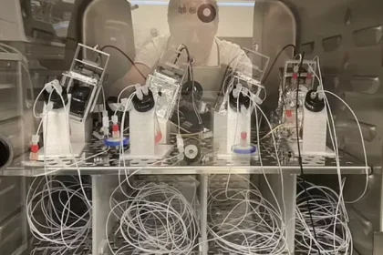 علماء يصنعون كمبيوتراً خارقاً من خلايا دماغ بشري