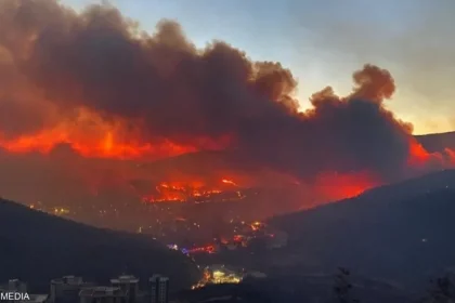 لليوم الرابع على التوالي.. استمرار حرائق الغابات في إزمير التركية