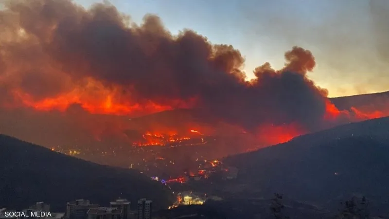 لليوم الرابع على التوالي.. استمرار حرائق الغابات في إزمير التركية