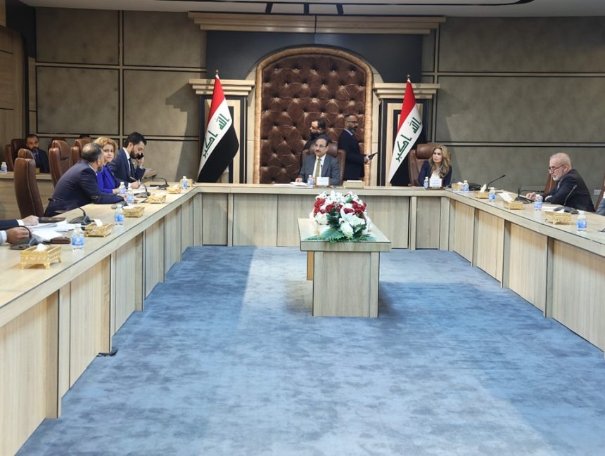 المالية النيابية