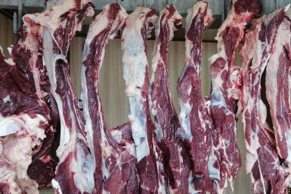 للوقاية من الحمى النزفية.. الصحة تدعو إلى عدم شراء اللحوم التي تُباع بطرق غير صحية