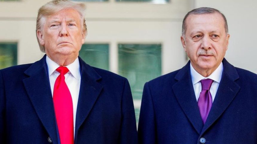 في اتصال هاتفي.. أردوغان يوجه دعوة لنظيره الأمريكي دونالد ترامب لزيارة تركيا
