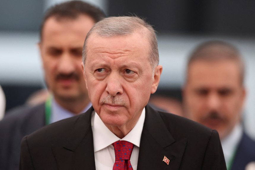 أردوغان يؤكد لترامب مواصلة تركيا اتخاذ خطوات لتعزيز التعاون مع الولايات المتحدة