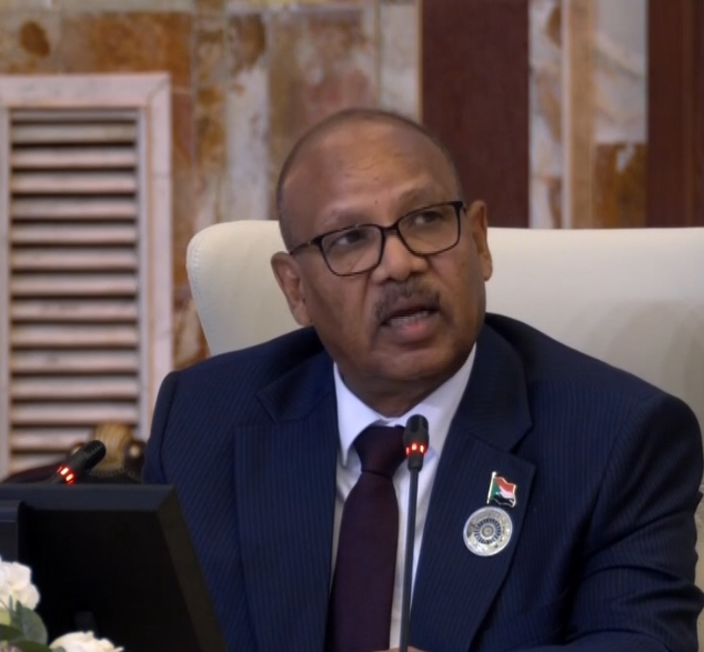 وزير الخارجية الجزائري: قضيتنا المركزية تشهد تصفية وسط فرض الاحتلال رؤيته العبثية للسلام