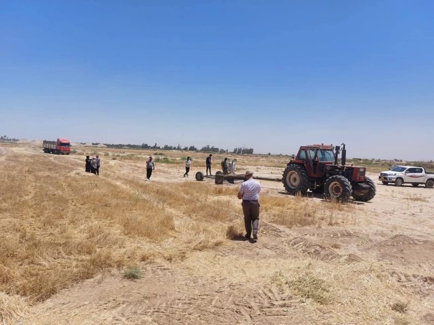 عمليات بغداد توجه باتخاذ الإجراءات الاحترازية خلال موسم الحصاد وحماية مخازن الحبوب