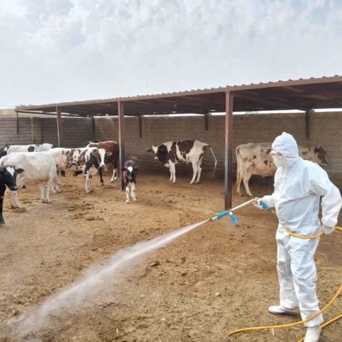 الصحة: ارتفاع عدد الإصابات بالحمى النزفية إلى 107 بينها 16 حالة وفاة