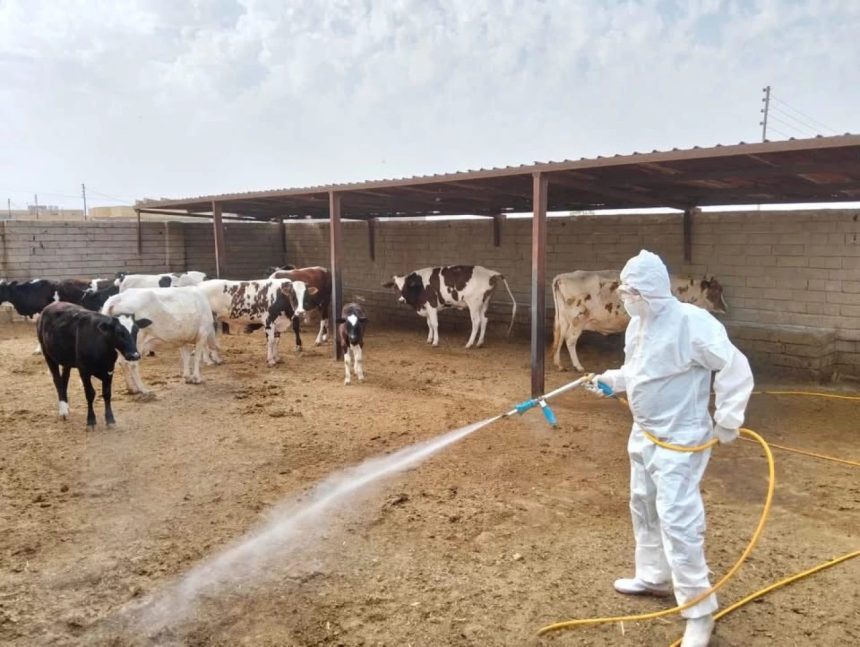 الصحة: ارتفاع عدد الإصابات بالحمى النزفية إلى 107 بينها 16 حالة وفاة