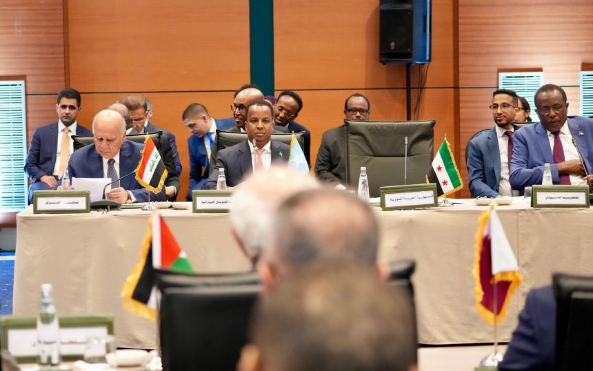 وزير الخارجية يشيد بوساطة عمان بين إيران وأمريكا ويدعو لاستئناف جهود التهدئة