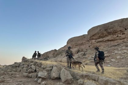 ‏خلية الإعلام تكشف تفاصيل جديدة للعملية الأمنية في منطقة بلكانة‬ وتؤكد قتل واعتقال 5 إرهابيين