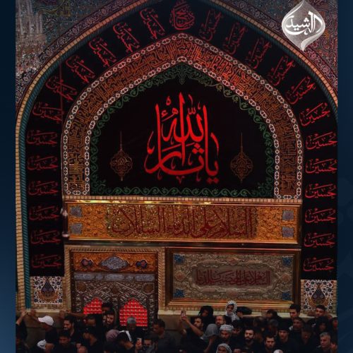 بالصور.. جموع المعزّين تحيي مراسم زيارة عاشوراء في كربلاء