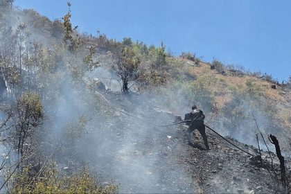 سوريا تعلن السيطرة على نسبة كبيرة من حرائق اللاذقية