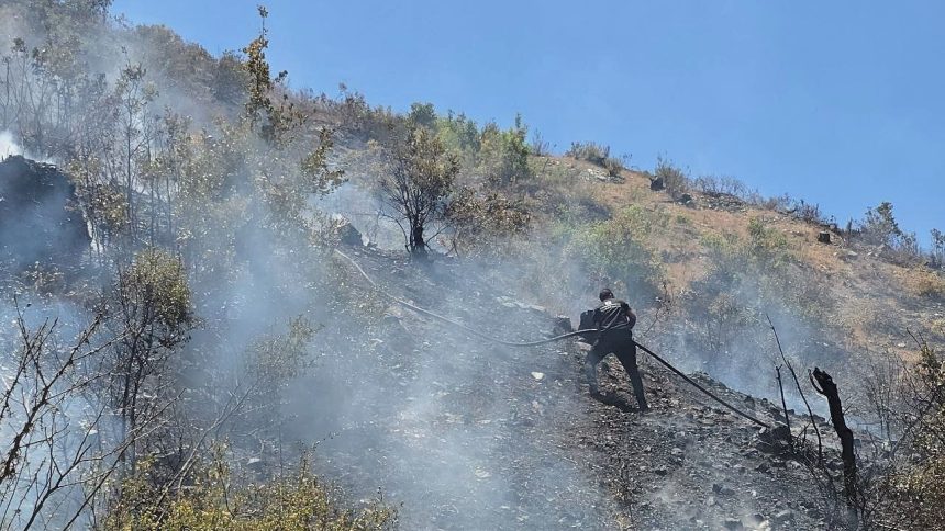 سوريا تعلن السيطرة على نسبة كبيرة من حرائق اللاذقية