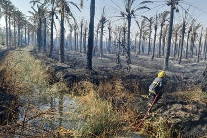 فرق الدفاع المدني تخمد حريقاً اندلع في أراضي زراعية شمالي البصرة