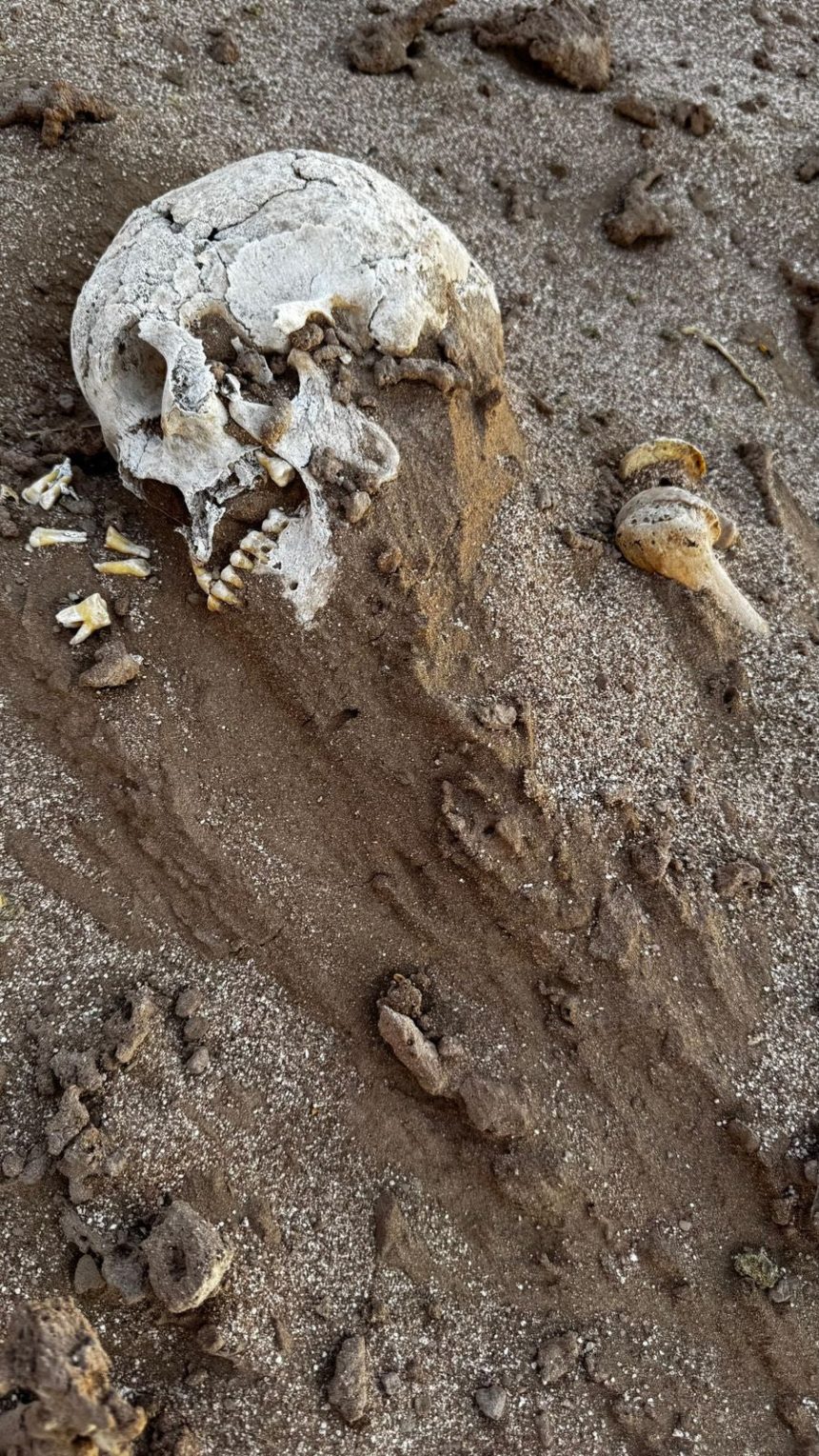 آثار ميسان تعثر على هياكل عظمية بشرية خلال تنفيذ كشف قرب تل الكطان