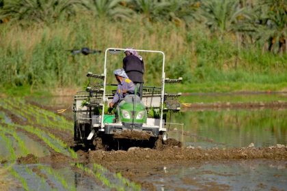 الموارد: الهدر يطال 60% من المياه المستخدمة في الزراعة