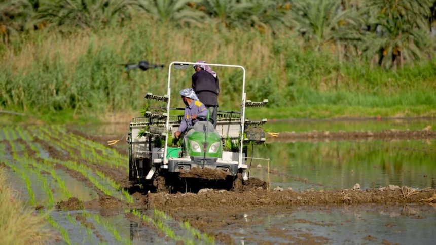 الموارد: الهدر يطال 60% من المياه المستخدمة في الزراعة
