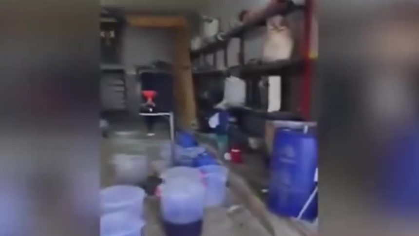 الداخلية تعلن الإطاحة بأكبر مصنع للكبتاغون في الشرق الأوسط من خلال التعاون مع لبنان