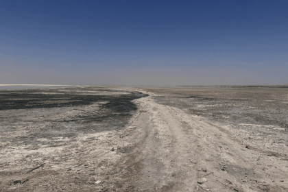 البيئة تحذِّر من جفاف بحر النجف