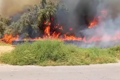 اندلاع حريق في غابات الكارضية بالكوت والدفاع المدني تتدخل لإخماده