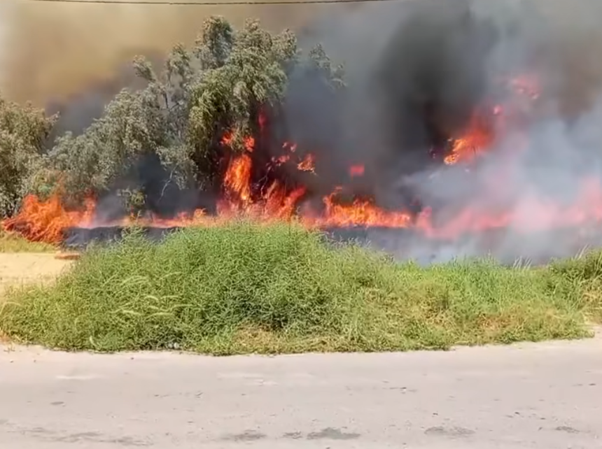 اندلاع حريق في غابات الكارضية بالكوت والدفاع المدني تتدخل لإخماده