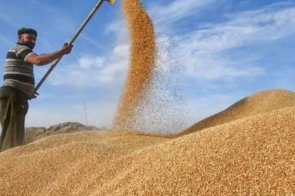 التجارة: المباشرة بتوزيع 500 مليار دينار لدعم الفلاحين في عموم المحافظات