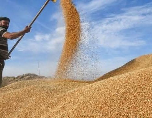 مستحقات الفلاحين