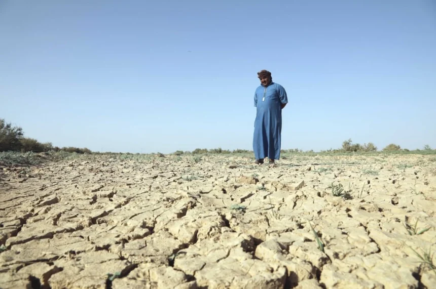 الزراعة: فقدان 50 بالمئة من الأراضي سنوياً وتوجه لاعتماد الزراعة الذكية