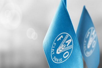 الفاو: السكر والألبان والحبوب تخفّض أسعار الغذاء عالمياً ومستوى قياسي لـ"اللحوم"