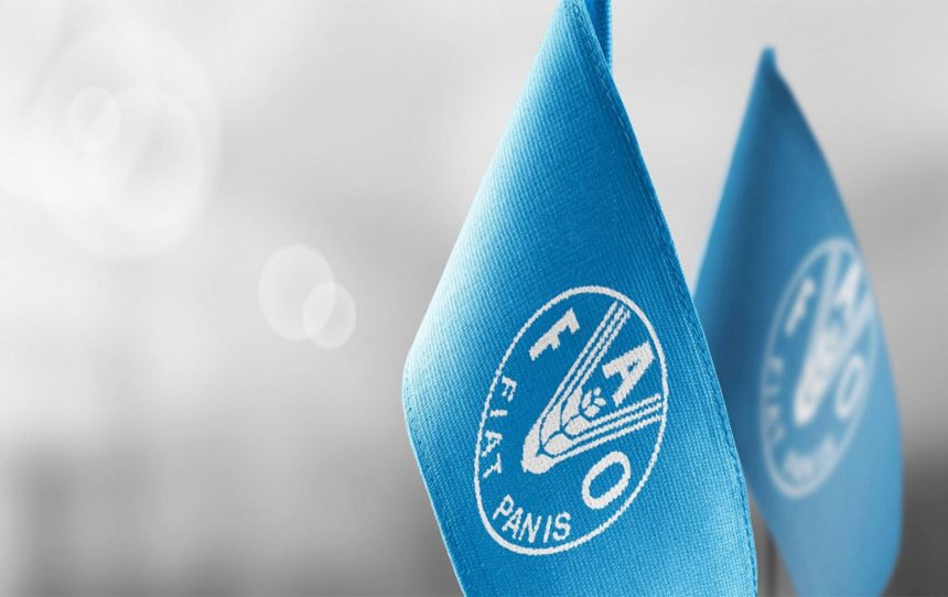 الفاو: السكر والألبان والحبوب تخفّض أسعار الغذاء عالمياً ومستوى قياسي لـ"اللحوم"