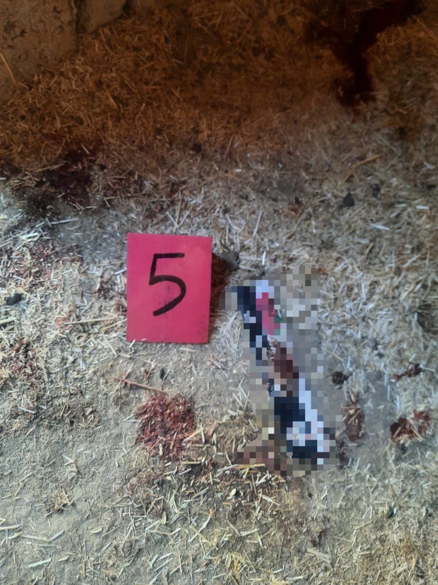 القبض على القاتل.. شرطة صلاح الدين تفكك وتكشف لغز جريمة قتل بشعة