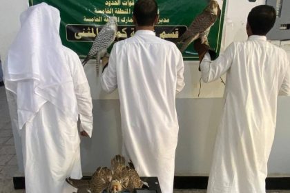 الداخلية: القبض على ثلاثة صيادين كويتيين مخالفين للضوابط والشروط في بادية المثنى