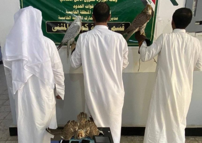 الداخلية: القبض على ثلاثة صيادين كويتيين مخالفين للضوابط والشروط في بادية المثنى