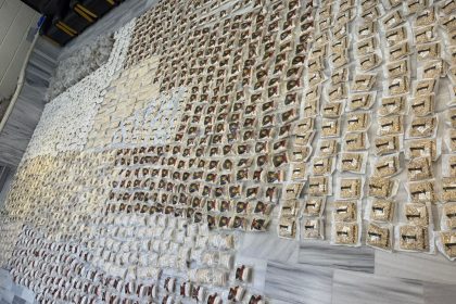 الداخلية: ضبط 370 كغم مخدرات والقبض على مطلوبين دولياً