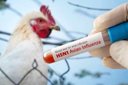 وزير ألماني يدق ناقوس الخطر: ارتفاع سريع لإصابات إنفلونزا الطيور