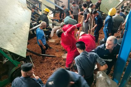 الدفاع المدني تنقذ أربعة عمال من انهيار مخزن للتمور في كربلاء