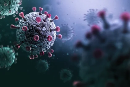 جائحة محتملة.. رصد فيروس كورونا جديد في خفافيش البرازيل