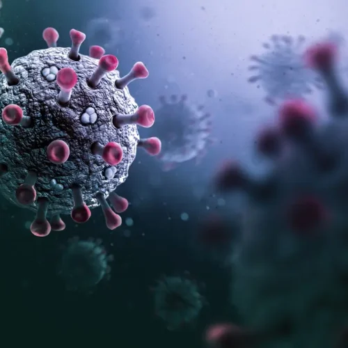 جائحة محتملة.. رصد فيروس كورونا جديد في خفافيش البرازيل